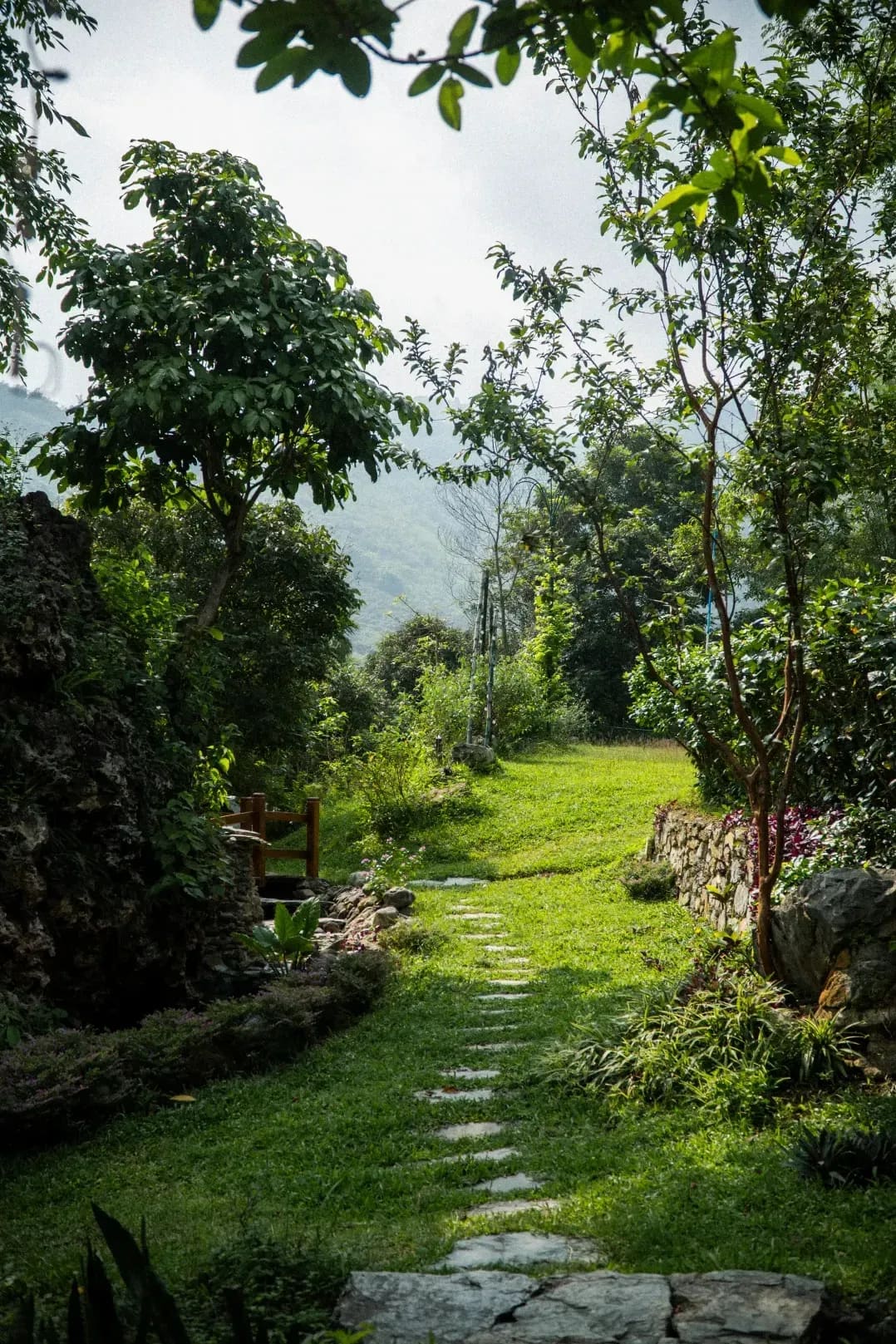 翠庭園 15