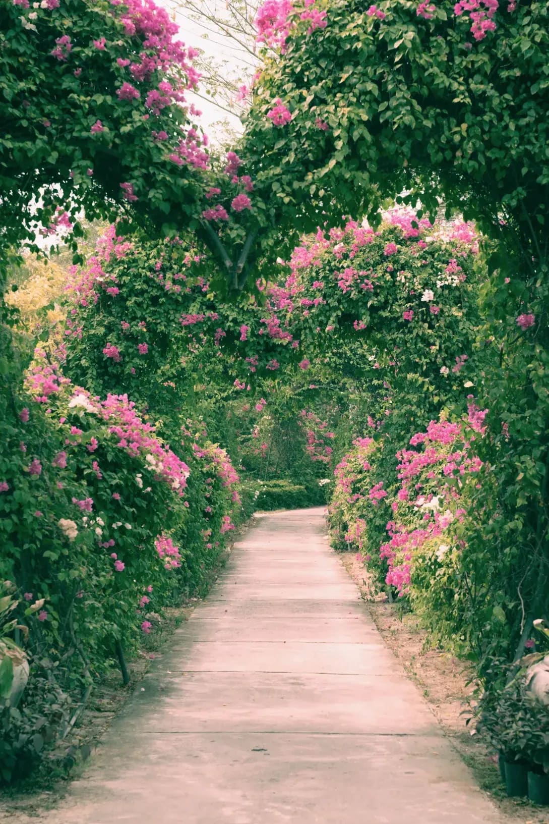 翠庭園 3